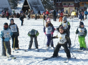 skikoraci2013