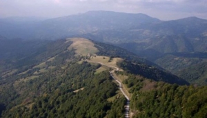 stara planina wikif