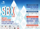 SBX Brezovica 2013 - Plakat